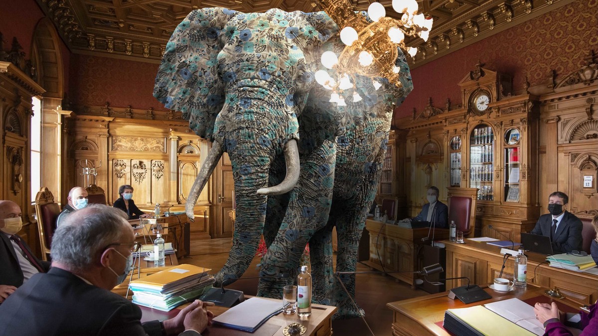 Elefant im Raum